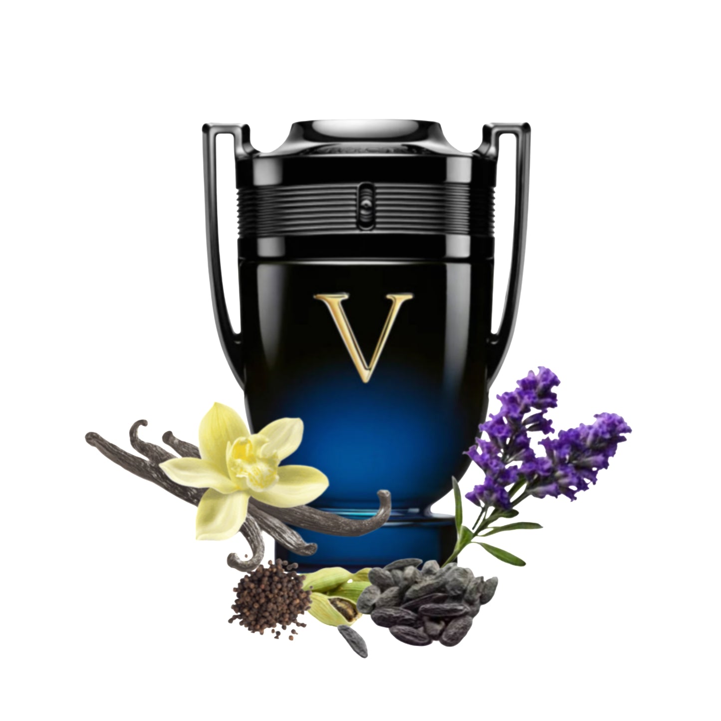 عطر انفيكتوس فيكتوري إليكسير تستر من جبل علي 100ml